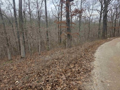 6 beautiful lots all right next to each other. 5 are on Summit - photo 2