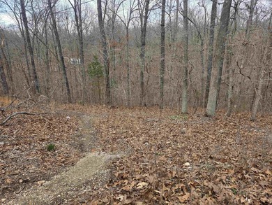6 beautiful lots all right next to each other. 5 are on Summit - photo 3