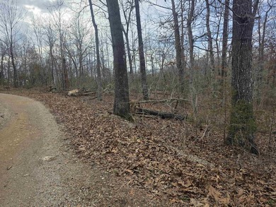 6 beautiful lots all right next to each other. 5 are on Summit - photo 4