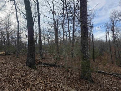 6 beautiful lots all right next to each other. 5 are on Summit - photo 6