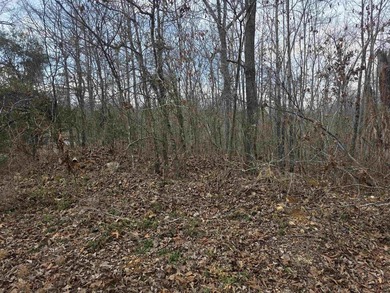 6 beautiful lots all right next to each other. 5 are on Summit - photo 7
