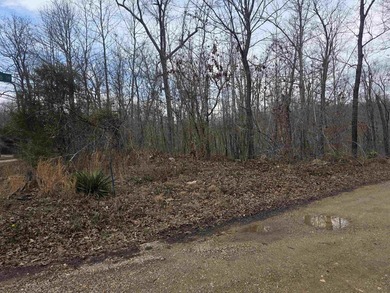 6 beautiful lots all right next to each other. 5 are on Summit - photo 8