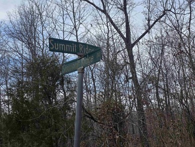 6 beautiful lots all right next to each other. 5 are on Summit - photo 9