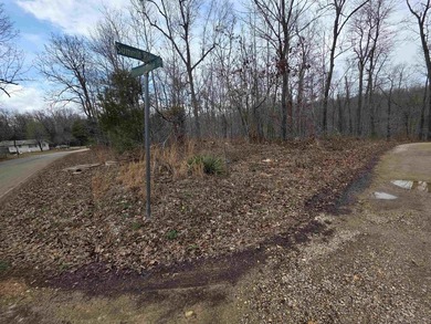 6 beautiful lots all right next to each other. 5 are on Summit - photo 10