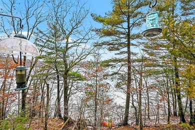 Exceptional Lakefront Living on Lake Allegan! SOLD - photo 25