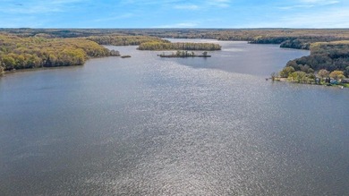 Exceptional Lakefront Living on Lake Allegan! SOLD - photo 39