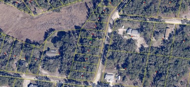 Withlacoochee River Lot For Sale in Webster Florida