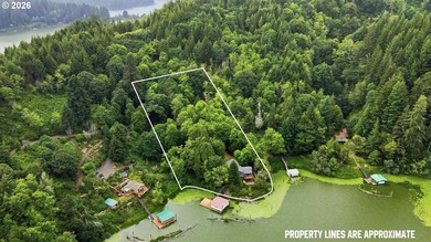 Tenmile Lake waterfront living awaits at this spacious 3,172 sq - photo 45