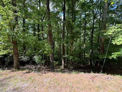 Lake Dakwa Lot For Sale in Ellijay Georgia