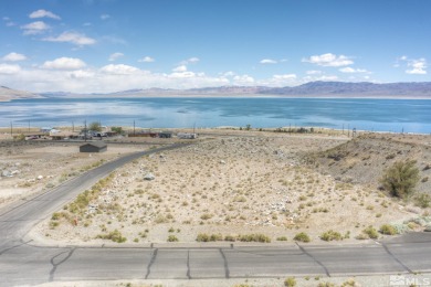 Lake Lot For Sale in Walker Lake, Nevada