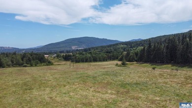 Lovely setting in desirable area of Sequim to set down your - photo 11