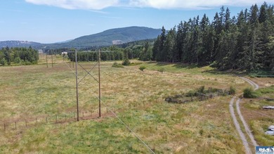 Lovely setting in desirable area of Sequim to set down your - photo 12