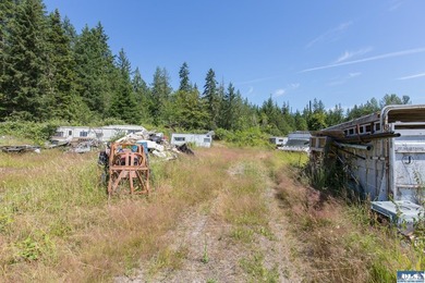 Lovely setting in desirable area of Sequim to set down your - photo 19