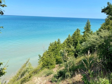 Lake Michigan - Manistee County Acreage For Sale in Manistee Michigan