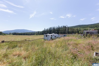 Lovely setting in desirable area of Sequim to set down your - photo 24