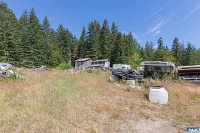 Lovely setting in desirable area of Sequim to set down your - photo 25