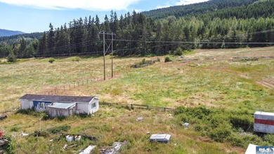 Lovely setting in desirable area of Sequim to set down your - photo 27
