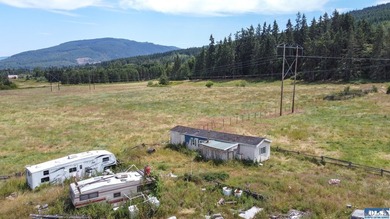 Lovely setting in desirable area of Sequim to set down your - photo 28