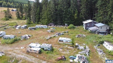 Lovely setting in desirable area of Sequim to set down your - photo 29
