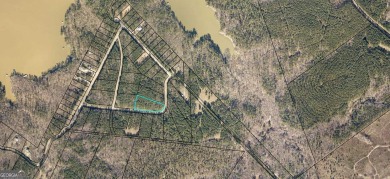 Strom Thurmond / Clarks Hill Lake Acreage For Sale in Lincolnton Georgia