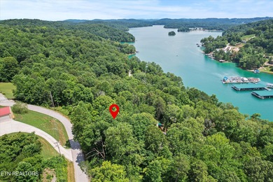 Norris Lake Lot For Sale in Lafollette Tennessee