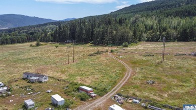 Lovely setting in desirable area of Sequim to set down your - photo 32