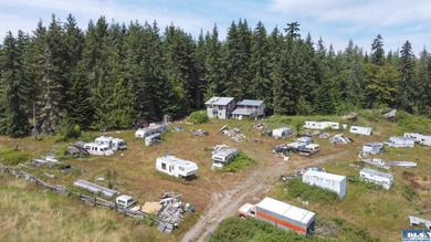 Lovely setting in desirable area of Sequim to set down your - photo 35