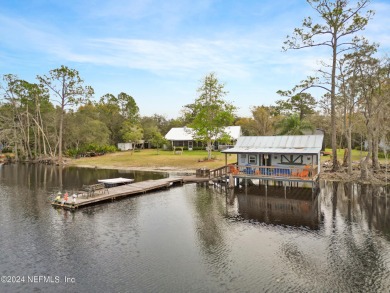 (private lake, pond, creek) Home For Sale in Hawthorne Florida