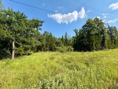 Lake Lot For Sale in Log Cabin, Texas