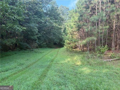 Lake Acreage For Sale in Canton, Georgia