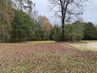 (private lake, pond, creek) Acreage For Sale in Appling Georgia