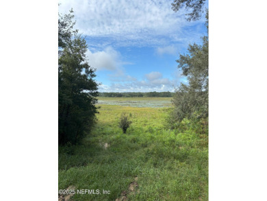 Lake Lot For Sale in Interlachen, Florida