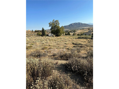 Meadowview Way - photo 3