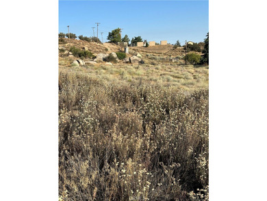 Meadowview Way - photo 5