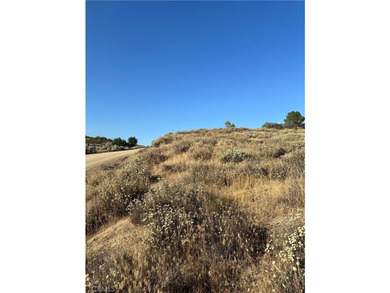 Meadowview Way - photo 10