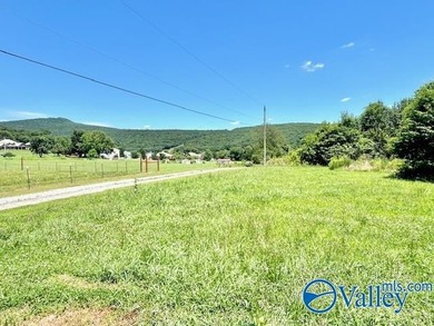 Welcome home to peaceful country living with modern updates! - photo 28