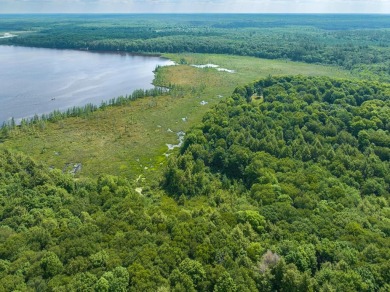 Cabin on Amik Lake - photo 10