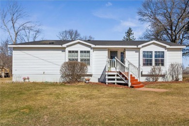 Elms Lake Home For Sale in Isanti Twp Minnesota