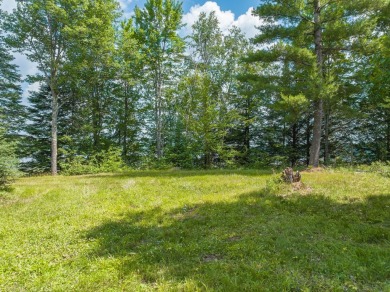 Cabin on Amik Lake w/30+AC - photo 3