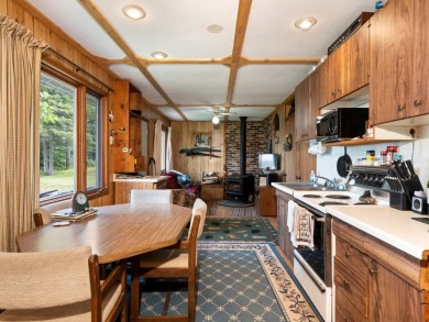 Cabin on Amik Lake w/30+AC - photo 5