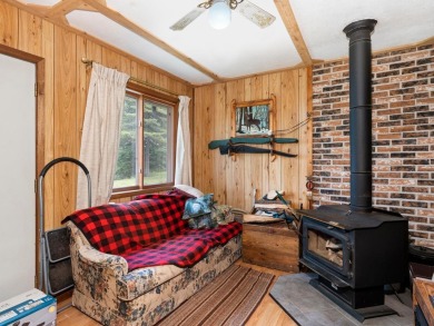 Cabin on Amik Lake w/30+AC - photo 6