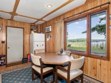 Cabin on Amik Lake w/30+AC - photo 8
