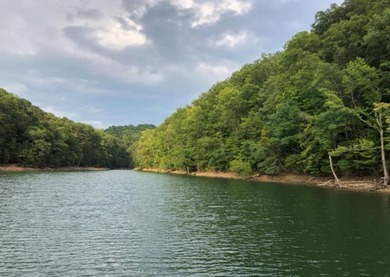 Douglas Lake Acreage For Sale in Dandridge Tennessee