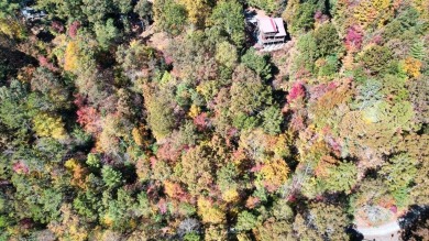 (private lake, pond, creek) Lot For Sale in Ellijay Georgia