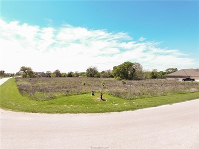 (private lake, pond, creek) Lot For Sale in Iola Texas