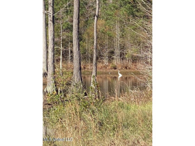 Lake Acreage For Sale in Gulfport, Mississippi