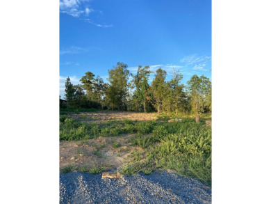 Lake Lot For Sale in Greers Ferry, Arkansas