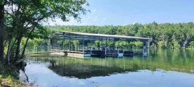 2023 Luxury Lake Home & Turnkey Resort - photo 15