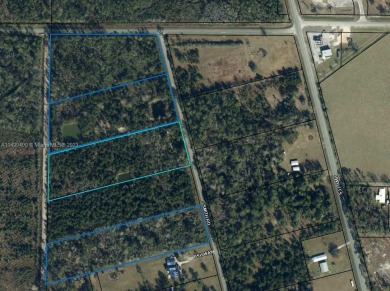 Lake Acreage For Sale in Other City - In The State Of Florida, Florida