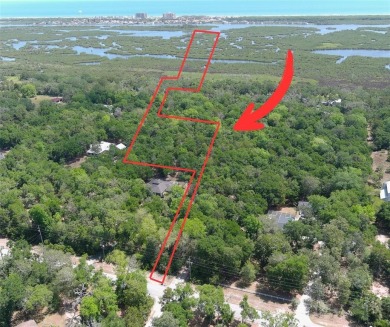 $55,000 PRICE REDUCTION - NOW OFFERED AT $325,000!
Build Your - photo 1